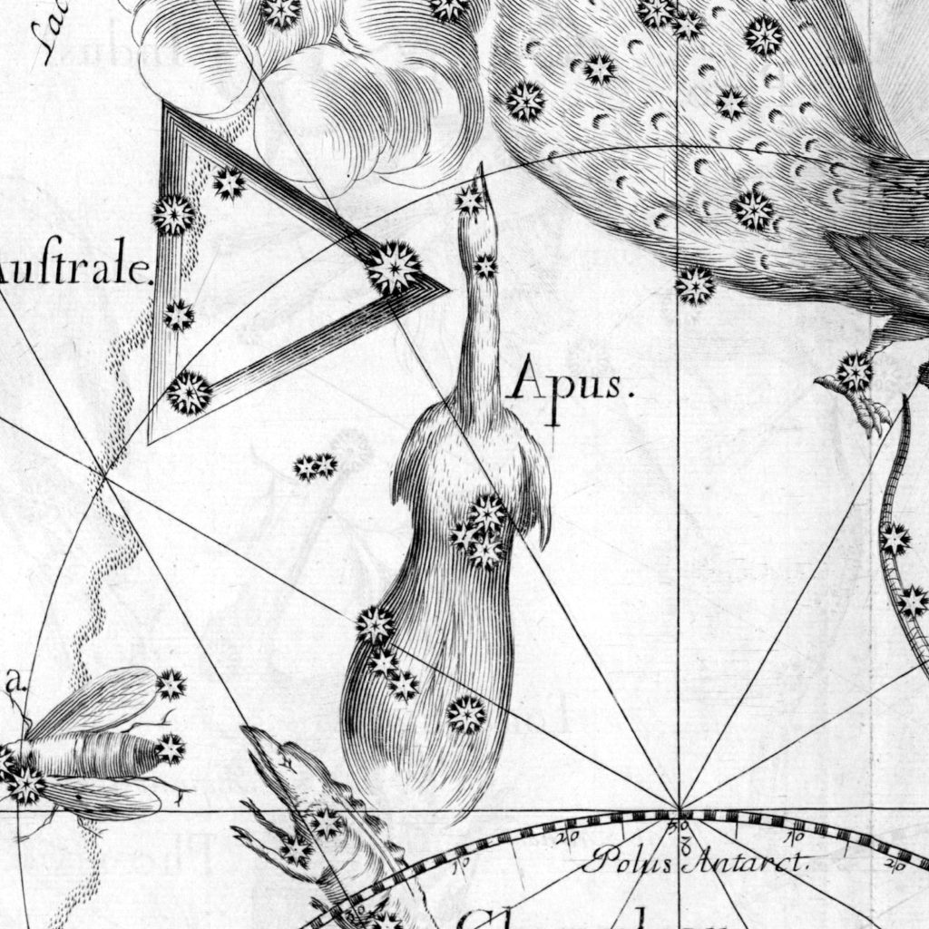 Apus Constellation Mythology - Johannes Hevelius