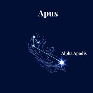 Apus constellation showing its star formation, mythical outline and brightest star